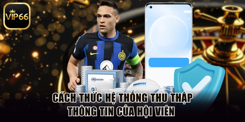 Cách thức hệ thống thu thập thông tin của hội viên 